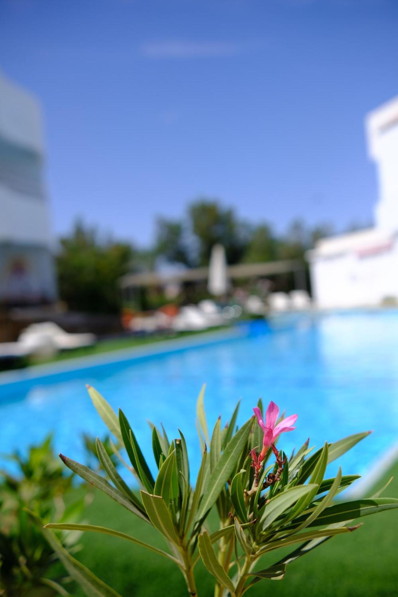 Viking club hotel Szarm el-Szejk Zewnętrze zdjęcie